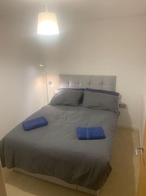 Hidden Gem Apartment คาร์ดิฟฟ์ ภายนอก รูปภาพ